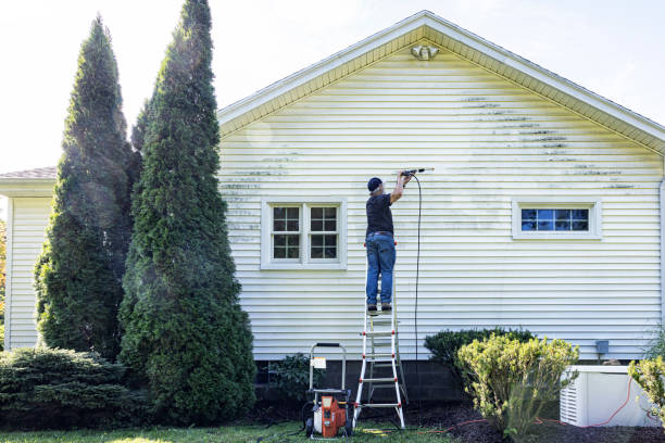 Best Building Exterior Washing  in Bloomgton, IN
